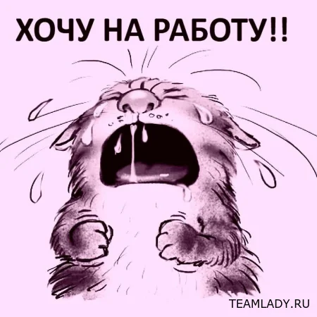 10 «красных флагов» в описаниях вакансий: что должно вас сразу отпугнуть при поиске работы